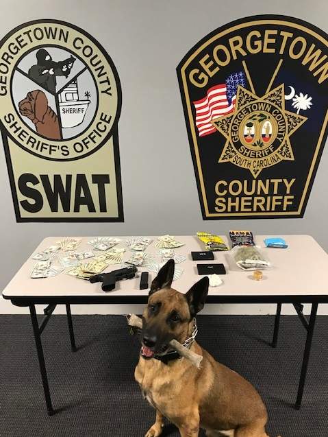 Drug and Weapon Arrest